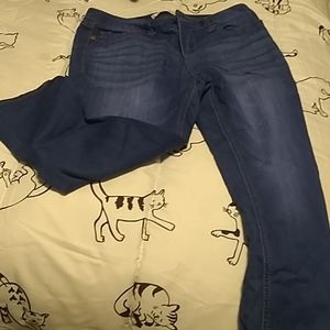 Blue Capri jeans